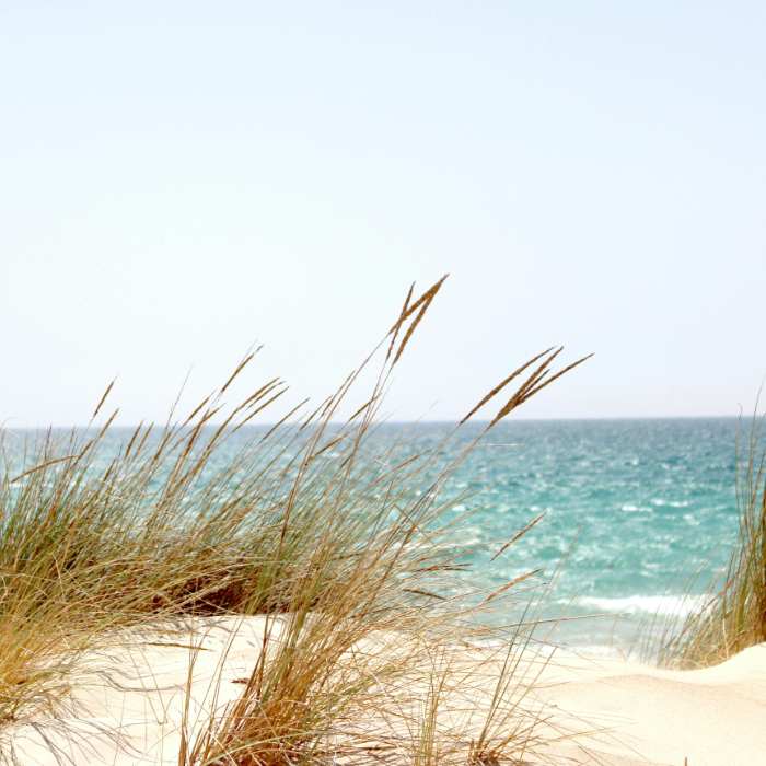 pexels melwu 662994 quadr 7x7